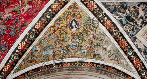 The Piccolomini Library, the vault, north-east wall: the segment over the first story, frescoes attributed to Girolamo del Pacchia, Giacomo Pacchiarotto and Littifredi Corbizi. The decoration is inspired by the Domus Aurea and the motif of the ancient grotesques. The general scheme of the vault is probably due to Bernardino di Betto, known as Pinturicchio.
