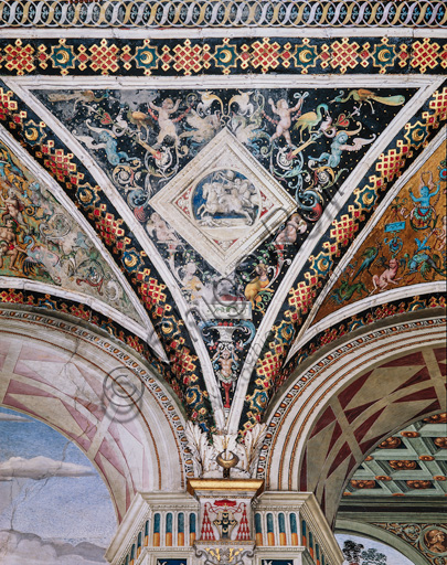 The Piccolomini Library, the vault: spandrel above the north-east wall between the first and the second story, frescoes attributed to Girolamo del Pacchia, Giacomo Pacchiarotto and Littifredi Corbizi. The decoration is inspired by the Domus Aurea and the motif of the ancient grotesques. The general scheme of the vault is probably due to Bernardino di Betto, known as Pinturicchio. At the centre grisaille with  a scene of a battle.