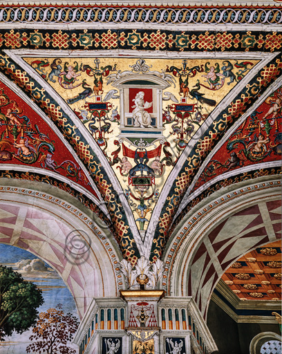 The Piccolomini Library, the vault: spandrel above the south-east wall between the fifth and sixth story, frescoes attributed to Girolamo del Pacchia, Giacomo Pacchiarotto and Littifredi Corbizi. The decoration is inspired by the Domus Aurea and the motif of the ancient grotesques. The general scheme of the vault is probably due to Bernardino di Betto, known as Pinturicchio. At the centre grisaille with allergy of a liberal art.
