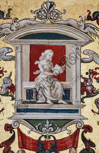 Libreria Piccolomini, la volta: pennacchio sopra la parete sud—est fra la quinta e la sesta storia, affreschi attribuiti a Girolamo del Pacchia, Giacomo Pacchiarotto e Littifredi Corbizi. La decorazione si ispira alla Domus Aurea e al motivo delle grottesche all’antica. A Bernardino di Betto, detto il Pinturicchio, si deve probabilmente lo schema generale della volta. Al centro grisaille con allegoria di un’arte liberale. Particolare.