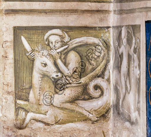 The Piccolomini Library, north-east wall: scene of maritime thiasus, grisaille below the corner pilaster between the north-west wall and the first scene.