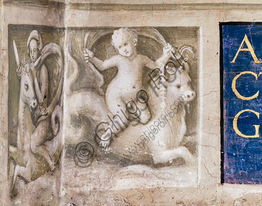  Libreria Piccolomini, parete nord-est: scena di thiasos marino, grisaille del basamento in corrispondenza del pilastro angolare fra la parete nord-ovest e la prima storia.