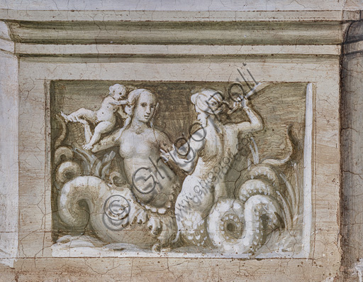  Libreria Piccolomini, parete nord-est: scena di tritone che minaccia una sirena, grisaille del basamento in corrispondenza del pilastro fra la terza e la quarta storia.