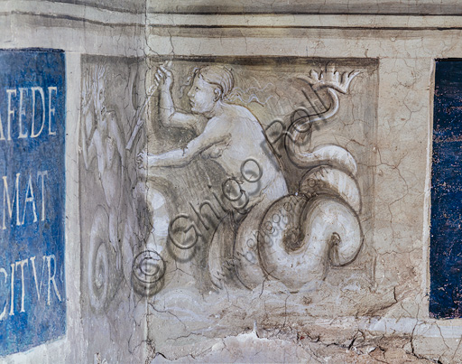 The Piccolomini Library, south-east wall: scene of the struggle of marine deities, grisaille below the pilaster between  the sixth story and the seventh one.