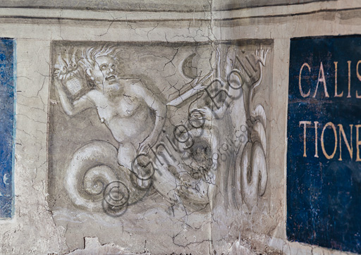  Libreria Piccolomini, parete sud-est: scena di lotta tra divinità marine, grisaille del basamento in corrispondenza del pilastro fra la sesta e la settima storia.