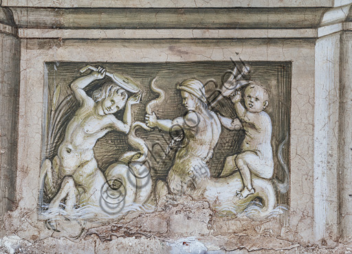  Libreria Piccolomini, parete sud-ovest: scena di lotta tra tritoni, grisaille del basamento in corrispondenza del pilastro fra la settima e l’ottava storia.