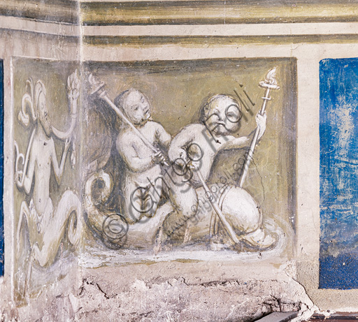  Libreria Piccolomini, parete sud-ovest: scena  con putti che cavalcano un delfino, grisaille del basamento in corrispondenza del pilastro fra la decima storia e la parete nord-ovest.