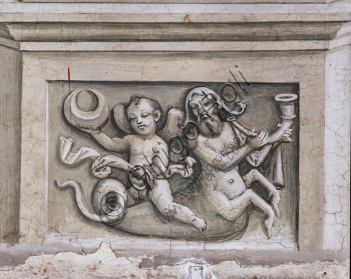 The Piccolomini Library, south-west wall: scene representing a winged putto bearing the Piccolomini crescent and riding a bearded triton, grisaille below the pilaster between  the eighth story and the ninth one.