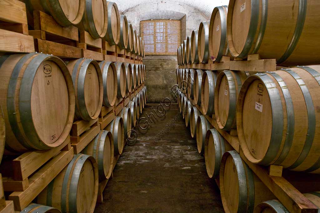 Località Cantinone, cantina Scacciadiavoli:  le botti di vino Sagrantino di Montefalco.