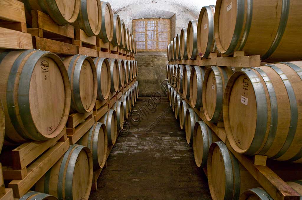 Winery Scacciadiavoli (in Cantinone locality): the barrels of Sagrantino wine.