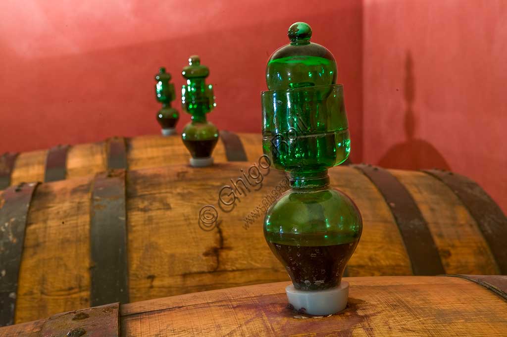 Winery Scacciadiavoli (in Cantinone locality): the barrels of Sagrantino wine.