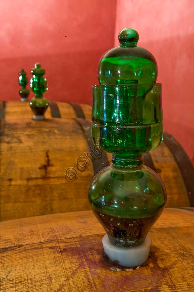 Winery Scacciadiavoli (in Cantinone locality): the barrels of Sagrantino wine.