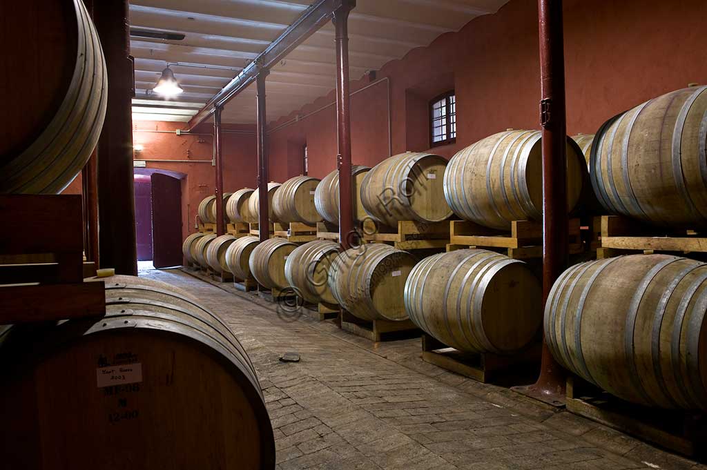 Località Cantinone, cantina Scacciadiavoli:  le botti di vino Sagrantino di Montefalco.