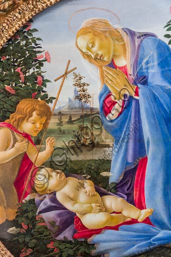 Piacenza, Farnese Palace: "Madonna adoring the Infant Jesus with St. Giovannino", by Sandro Botticelli.