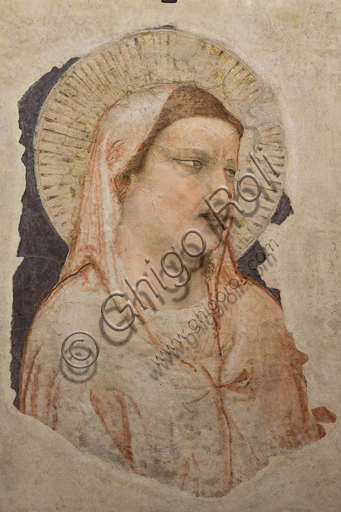 Basilica of the Holy Cross: "Grieving Madonna", 1305-10, by Giotto, detached fresco.