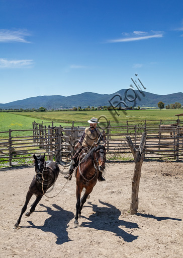 Regional Park of Maremma,