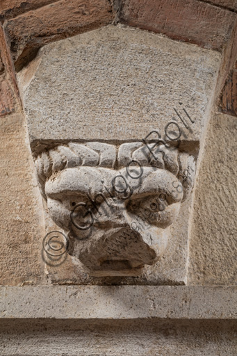 Modena, torre Ghirlandina, sala dei Torresani, parete est: capitello corinzio con un viso scolpito nella protome dell'abaco. Maestri campionesi, XII - XIII secolo. Particolare.