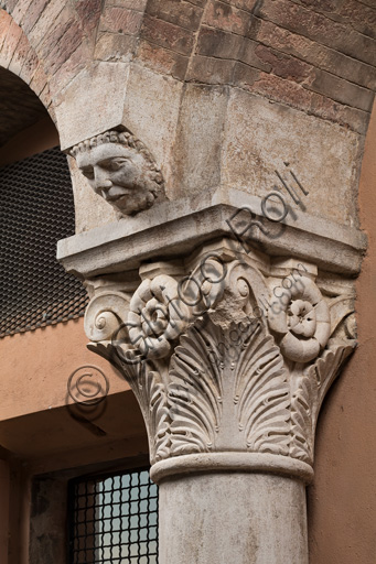 Modena, torre Ghirlandina, sala dei Torresani, parete nord: capitello corinzio con un viso scolpito nella protome dell'abaco. Maestri campionesi, XII - XIII secolo.