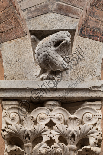Modena, Ghirlandina Tower, Torresani Hall, south wall: Corinthian capital with a sculpted bird in the abacus protome. Campionese Masters, XII - XIII century. Detail.