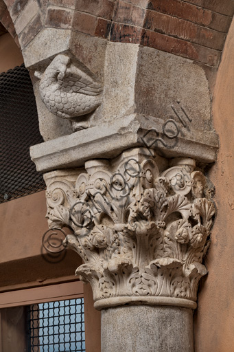 Modena, Ghirlandina Tower, Torresani Hall, south wall: Corinthian capital with a sculpted bird in the abacus protome. Campionese Masters, XII - XIII century.