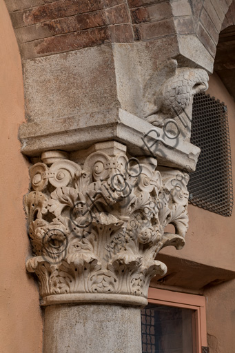 Modena, Ghirlandina Tower, Torresani Hall, south wall: Corinthian capital with a sculpted bird in the abacus protome. Campionese Masters, XII - XIII century.