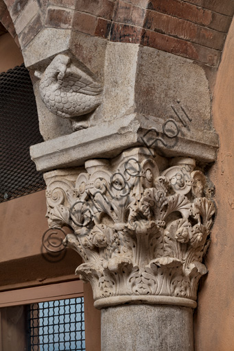 Modena, torre Ghirlandina, sala dei Torresani, parete sud: capitello corinzio con uccello nella protome dell'abaco. Maestri campionesi, XII - XIII secolo.
