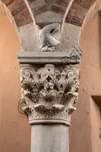 Modena, Ghirlandina Tower, Torresani Hall, south wall: Corinthian capital with a sculpted bird in the abacus protome. Campionese Masters, XII - XIII century.