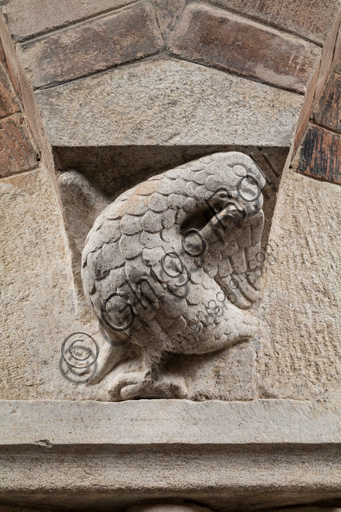 Modena, Ghirlandina Tower, Torresani Hall, south wall: Corinthian capital with a sculpted bird in the abacus protome. Campionese Masters, XII - XIII century. Detail.