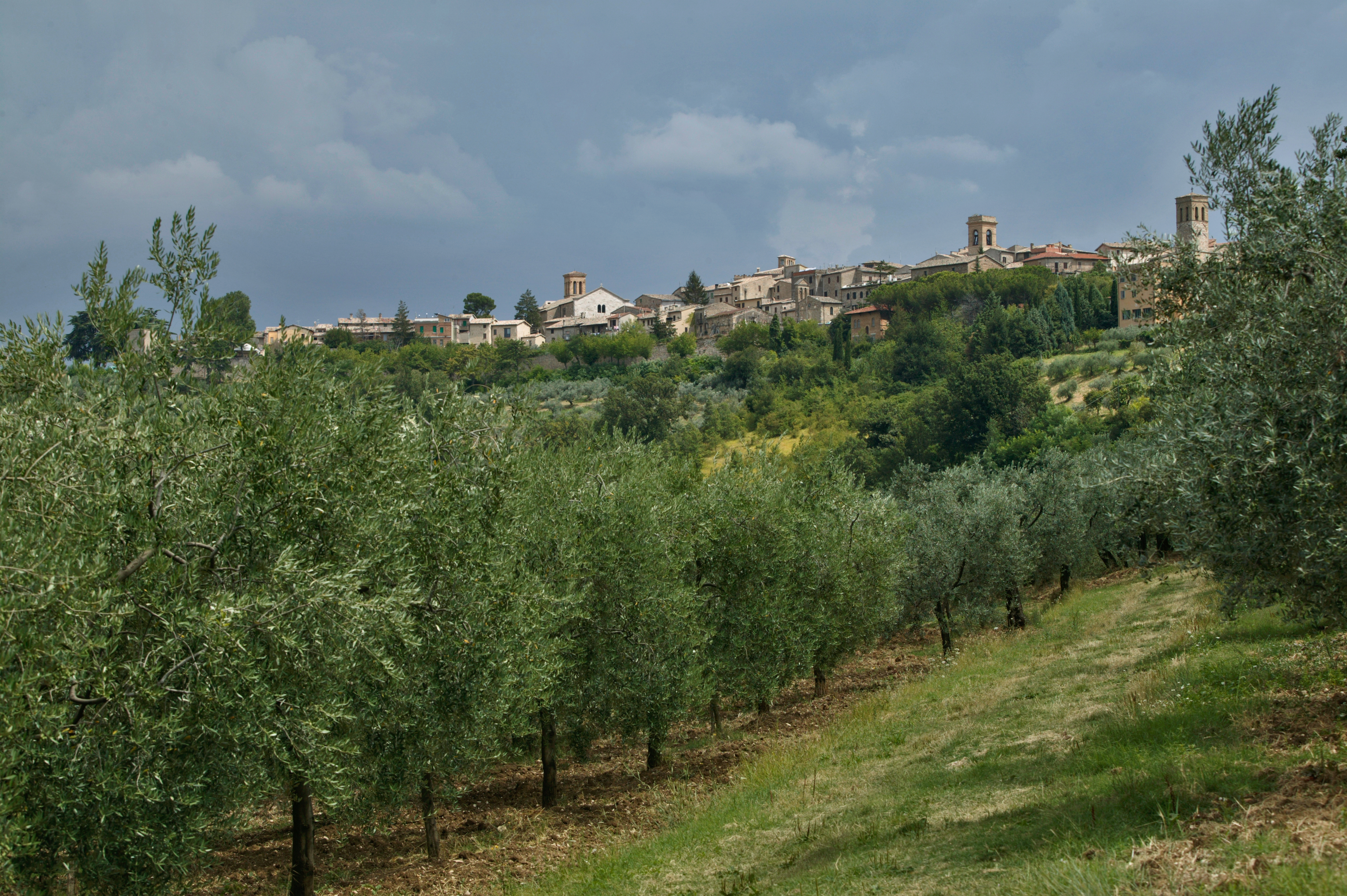 Montefalco: veduta del paese e della campagna circostante.