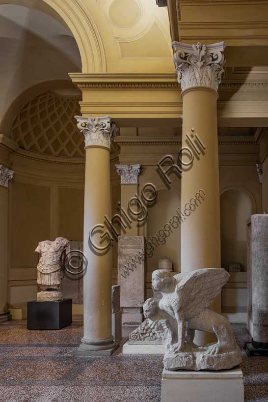 Museo Civico Archeologico di Bologna, atrio: a sinistra  il busto di Nerone; a destra la Sfinge (da un monumento funebre di Borgo Panigale; prima metà del I sec.d. C.).