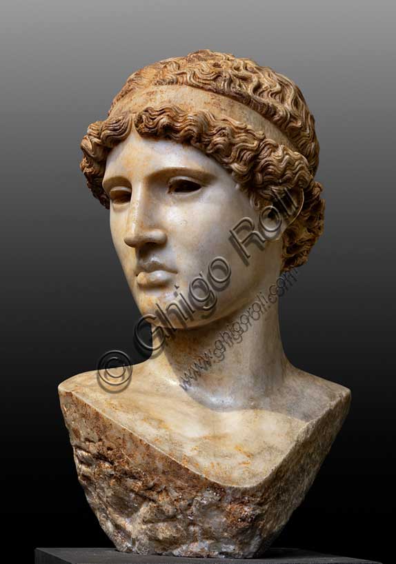 Museo Civico Archeologico di Bologna, collezione greca, sala V: l’Atena Lemnia.Inv. G_1061Capolavoro della Collezione Palagi è la testa di Atena in marmo pentelico, copia d’epoca romana della perduta scultura bronzea a figura intera della dea, commissionata a Fidia, tra il 451 e il 447 a.C., da un gruppo di cittadini ateniesi in procinto di fondare una colonia sull'isola egea di Lemnos.La statua, detta per questo motivo “Lemnia”, fu posta sull’Acropoli di Atene con la funzione di ex-voto, per ottenere la protezione della dea, "patrona" della città, durante la creazione della nuova colonia.La grande novità della scultura fu la scelta da parte di Fidia di raffigurare Atena, solitamente presentata in armi e pronta al combattimento, in atteggiamento pacifico, stante, vestita di tunica e mantello, appoggiata alla lancia e con l'elmo nella mano destra. L'opera non è giunta fino a noi: è tuttavia possibile ricostruirne l'aspetto grazie ad alcune repliche di età romana, che riproducono soprattutto la testa della dea.Tra queste, la migliore per accuratezza e fedeltà all'originale è certamente questa testa, attribuita ad uno scultore greco attivo in età augustea (fine del I sec. a.C.- inizi del I sec. d.C.). L'autore è infatti riuscito felicemente a riprodurre la concezione e l'idea dell'opera originale, traducendole in un materiale, il marmo pentelico, a lui certamente più congeniale del bronzo della statua fidiaca.