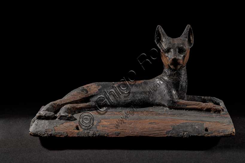 Museo Civico Archeologico di Bologna: coperchio di cofanetto o sarcofago con gatto.Inventario EG 401. 