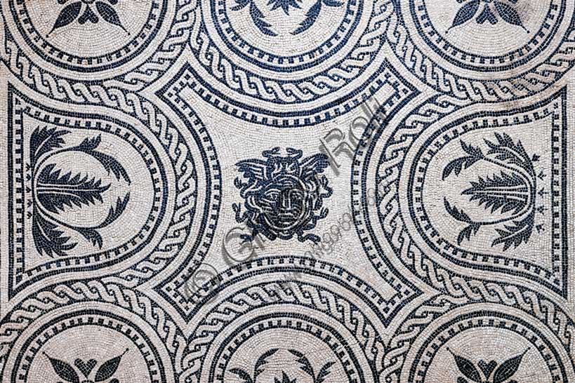 Museo Civico Archeologico di Bologna: pavimento musivo policromo da Via dei Mille - Via del Porto (Area del Seminario), con testa di Medusa.Inv. 19001Particolare.