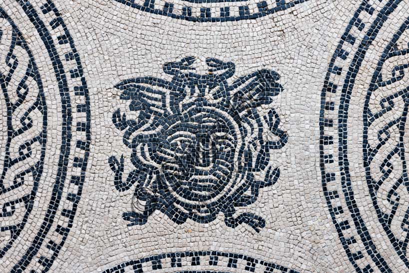 Museo Civico Archeologico di Bologna: pavimento musivo policromo da Via dei Mille - Via del Porto (Area del Seminario), con testa di Medusa.Inv. 19001Particolare.