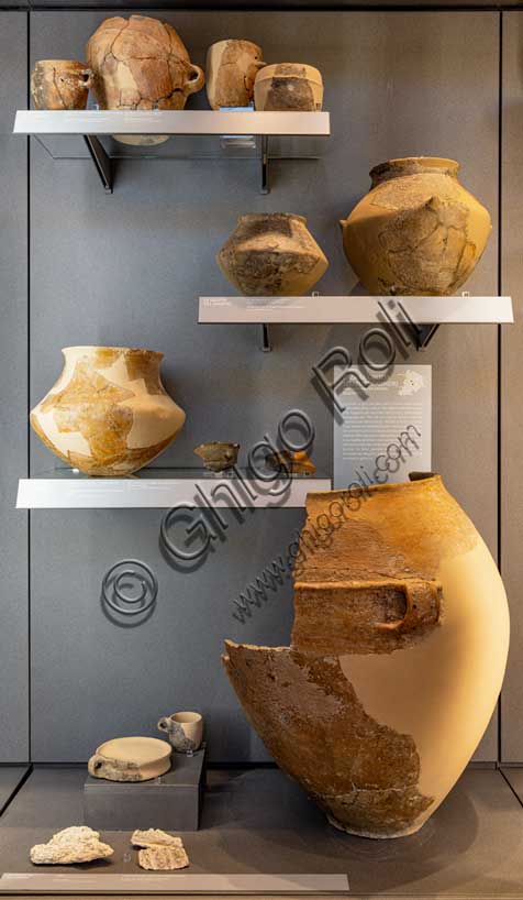 Museo Civico Archeologico di Bologna,  Sezione “Bologna e il suo territorio nella preistoria”: materiali dalla Grotta del Farneto e dalla grotta Serafino Calindri.