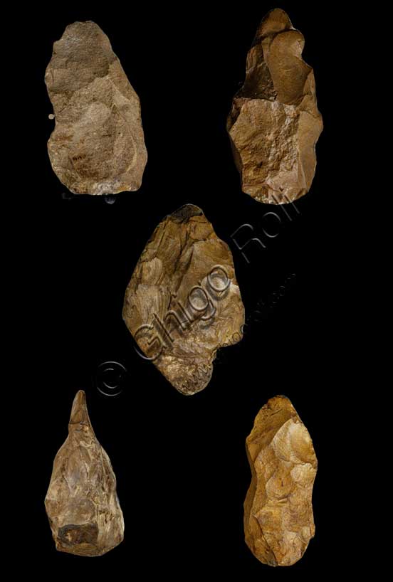 Museo Civico Archeologico di Bologna, sezione “Bologna e il suo territorio nella preistoria”: amigdale.