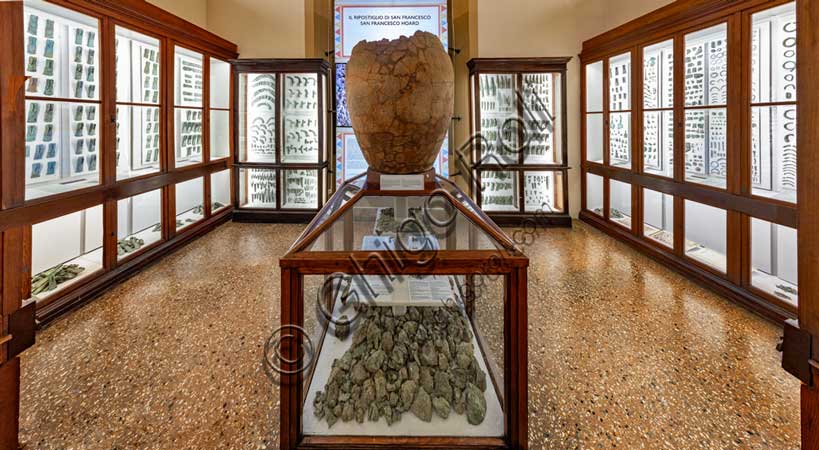 Museo Civico Archeologico di Bologna, sezione “Bologna e il suo territorio nella preistoria”: amigdale.