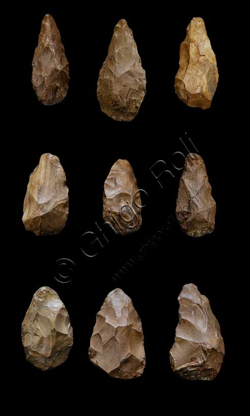 Museo Civico Archeologico di Bologna, sezione “Bologna e il suo territorio nella preistoria”: amigdale.