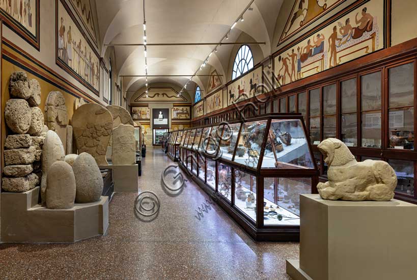 Museo Civico Archeologico di Bologna, Sezione Bologna etrusca, le necropoli (veduta della sala 101).