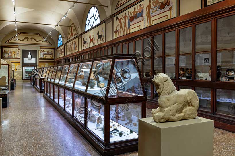 Museo Civico Archeologico di Bologna, Sezione Bologna etrusca, le necropoli (veduta della sala 101).