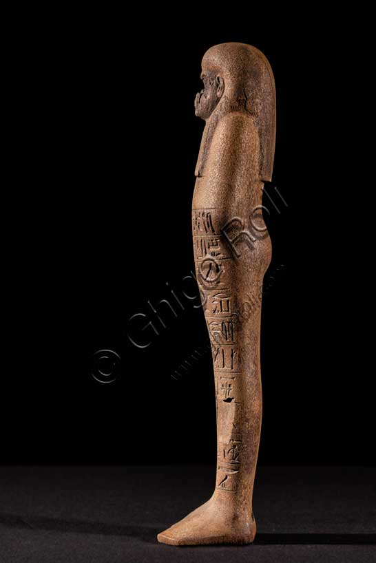Museo Civico Archeologico di Bologna: Statuetta ushabti a nome di MayInventario EG 1967. Gli ushabti sono statuine funerarie, dall’aspetto mummiforme (con il corpo a forma di mummia) che tengono nelle mani, incrociate al petto, attrezzi agricoli, quali zeppe, marre e un sacchetto per le sementi. Realizzati in diversi materiali (legno, pietra, terracotta, faïence), erano parte del corredo funerario, cioè l’insieme di oggetti posti nella tomba al fianco del defunto per accompagnarlo nel suo viaggio nell’Aldilà. L’uso di queste particolari statuette funerarie risale al Medio Regno (XIX-XVIII secolo a.C.), quando iniziò a esserne introdotto un esemplare per tomba, nelle sepolture dei privati. Nel corso del tempo il loro numero tuttavia crebbe fino a raggiungere le centinaia per singola sepoltura, tanto regale quanto privata. La maggior parte di queste statuette reca iscritta la formula VI del Libro dei Morti, con cui l’Ushabti, che secondo l’etimologia più accettata significa “colui che risponde”, era chiamato a effettuare lavori agricoli nei campi di Osiride nell’Aldilà. Erano considerati perlopiù come «doppi», o servitori del defunto, con la funzione di sostituirsi a lui nelle mansioni lavorative dell’Aldilà. 
