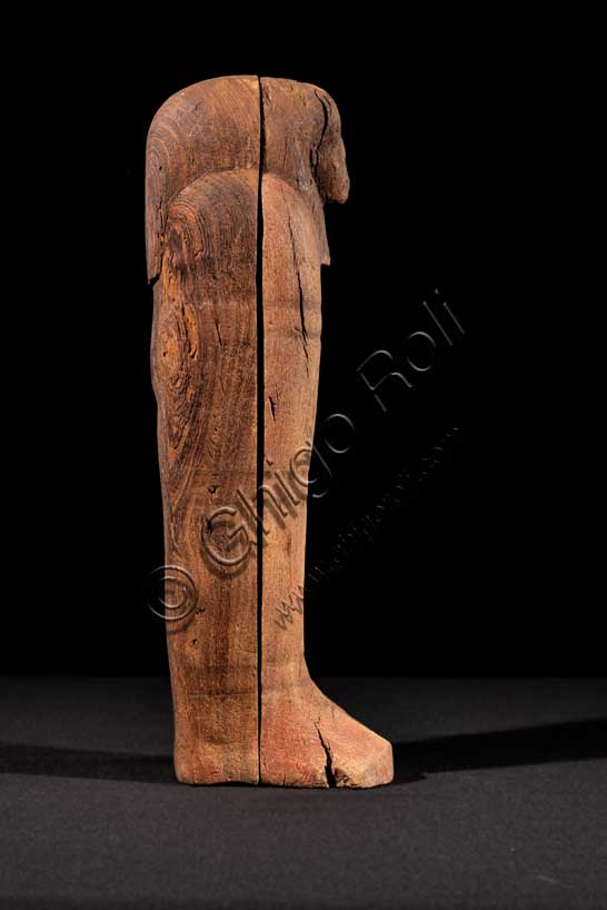 Museo Civico Archeologico di Bologna: Statuetta ushabti a nome di May, con sarcofago chiuso.Inventario EG 1967. Gli ushabti sono statuine funerarie, dall’aspetto mummiforme (con il corpo a forma di mummia) che tengono nelle mani, incrociate al petto, attrezzi agricoli, quali zeppe, marre e un sacchetto per le sementi. Realizzati in diversi materiali (legno, pietra, terracotta, faïence), erano parte del corredo funerario, cioè l’insieme di oggetti posti nella tomba al fianco del defunto per accompagnarlo nel suo viaggio nell’Aldilà. L’uso di queste particolari statuette funerarie risale al Medio Regno (XIX-XVIII secolo a.C.), quando iniziò a esserne introdotto un esemplare per tomba, nelle sepolture dei privati. Nel corso del tempo il loro numero tuttavia crebbe fino a raggiungere le centinaia per singola sepoltura, tanto regale quanto privata. La maggior parte di queste statuette reca iscritta la formula VI del Libro dei Morti, con cui l’Ushabti, che secondo l’etimologia più accettata significa “colui che risponde”, era chiamato a effettuare lavori agricoli nei campi di Osiride nell’Aldilà. Erano considerati perlopiù come «doppi», o servitori del defunto, con la funzione di sostituirsi a lui nelle mansioni lavorative dell’Aldilà. 