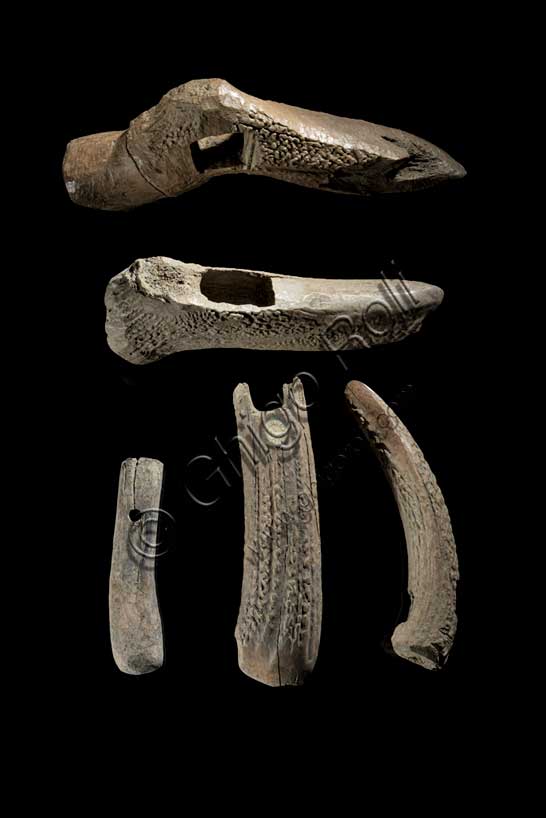 Museo Civico Archeologico di Bologna: strumenti agricoli in corno  dalla terramare di Montirone (Sant’ Agata Bolognese).