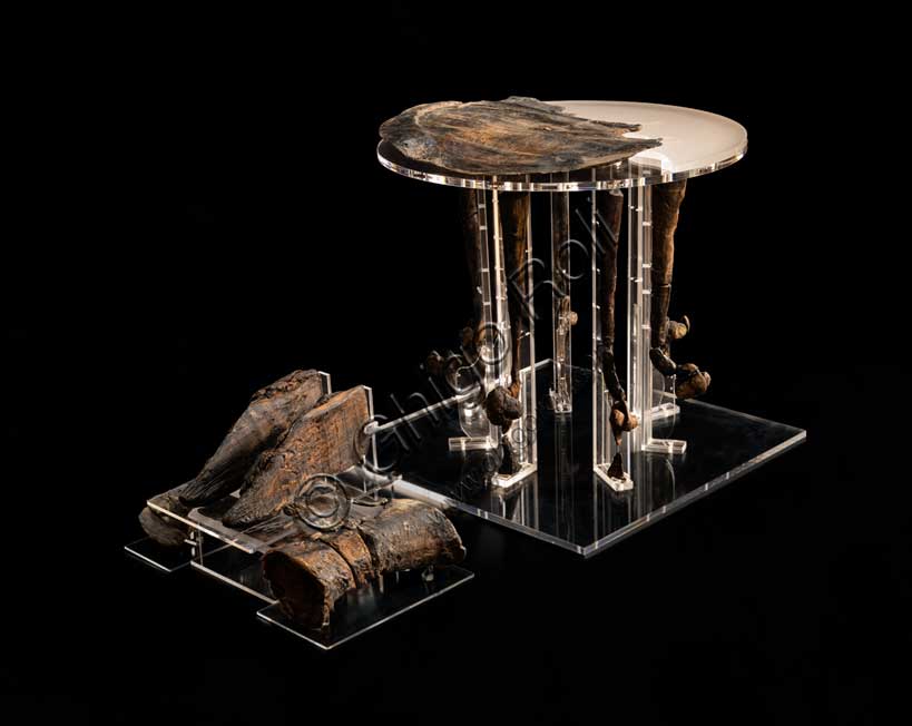 Museo Civico Archeologico di Bologna: tavolino in legno con piano circolare, suppedaneo e coppia di modelli di piede con resti di scarpa.Dalla necropoli di via Belle Arti, tomba 142.Inv. SABAP 283130, 283131, 283138, 283142