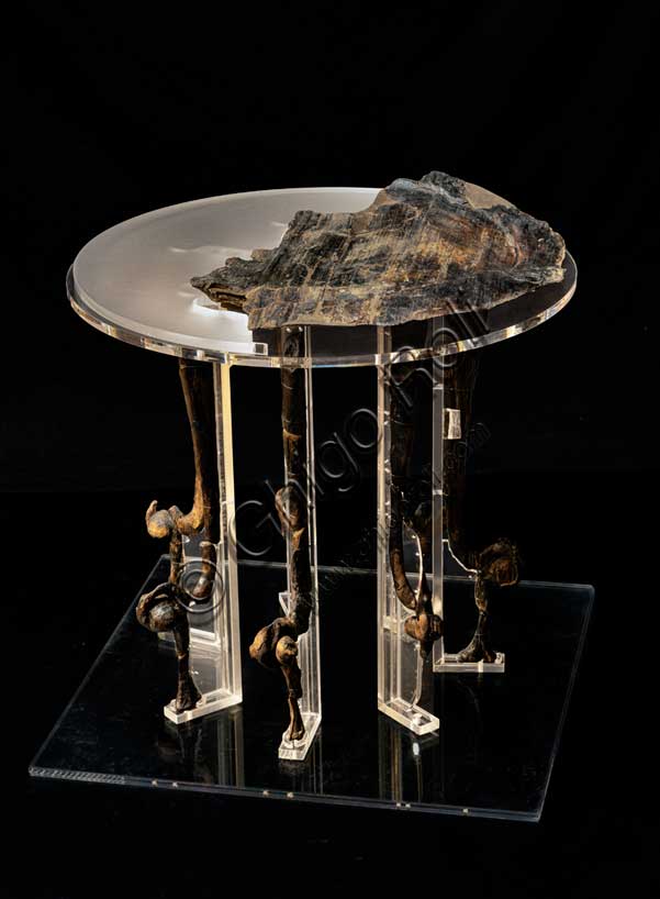 Museo Civico Archeologico di Bologna: tavolino in legno con piano circolare; dalla necropoli di via Belle Arti, tomba 142.Inv. SABAP 283130