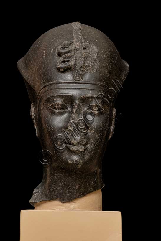 Museo Civico Archeologico di Bologna:  testa del faraone Apries (?).La testa apparteneva a una statua regale di notevole valore artistico ed è riconoscibile  per la presenza della corona azzurra, il tipico casco in cuoio indossato in guerra dai faraoni egiziani, sulla quale campeggia un serpente urèo dalle volute a doppia spirale.Inventario EG 1801.