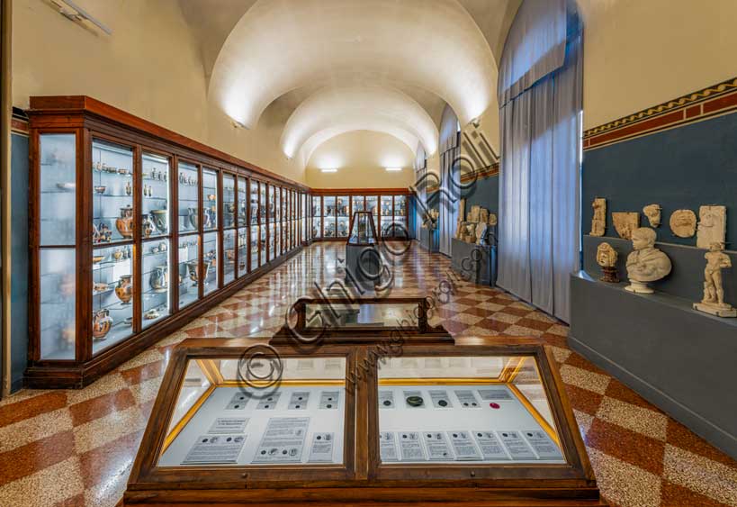 Museo Civico Archeologico di Bologna: veduta della sala della collezione greca.