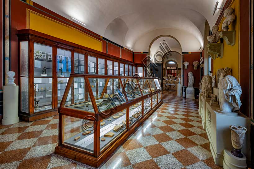 Museo Civico Archeologico di Bologna: veduta della sala della collezione romana.