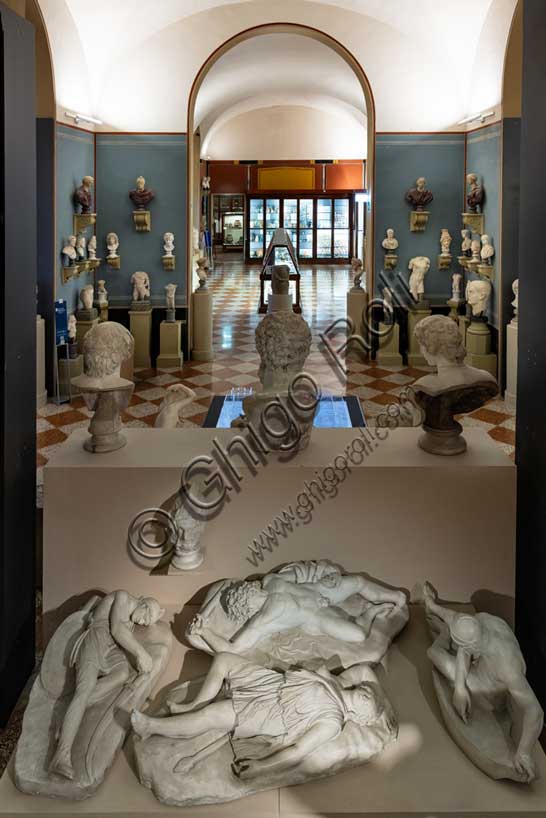 Museo Civico Archeologico di Bologna: veduta della sala delle sculture romane e della sala di collezione romana dall'alto. In basso: statue della gipsoteca.