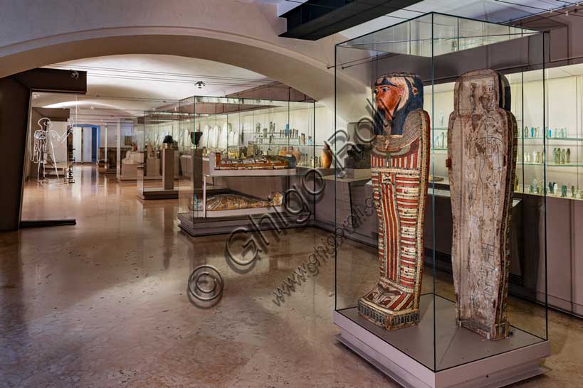 Museo Civico Archeologico di Bologna: veduta della sezione egiziana. In primo piano il sarcofago di Tasciakheper.
